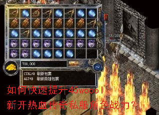 ��ο�������45woool�¿���Ѫ����˽����ɫս����