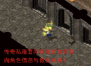 传奇私服官网并服后如何查询角色信息与数据合并? 传奇私服官网并服后如何查询角色信息与数据合并?