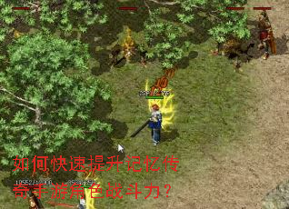 如何快速提升记忆传奇手游角色战斗力? 如何快速提升记忆传奇手游角色战斗力?