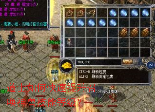 道士如何快速提升召唤神兽技能等级? 道士如何快速提升召唤神兽技能等级?
