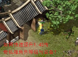 如何快速提升1.45传奇私服角色等级与装备? 如何快速提升1.45传奇私服角色等级与装备?