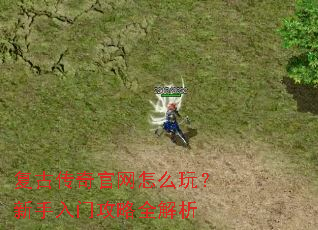 ���Ŵ��������ô�棿�������Ź���ȫ����