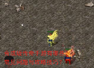 �ϳɰ洫����������Щ���������빥�Լ��ɣ�