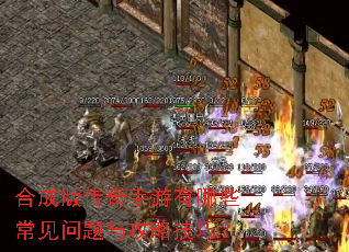 �ϳɰ洫����������Щ���������빥�Լ��ɣ�