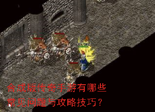 �ϳɰ洫����������Щ���������빥�Լ��ɣ�